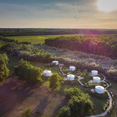 Homoki Lodge Bed & Beyond Glamping (Adults Only) Ruzsa Ngoại thất bức ảnh